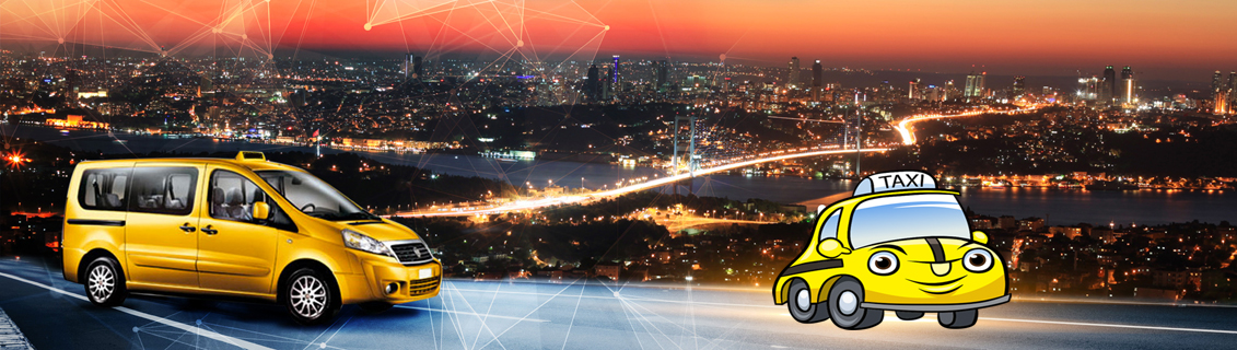 Görüntülü Araç Kontrol Sistemleri